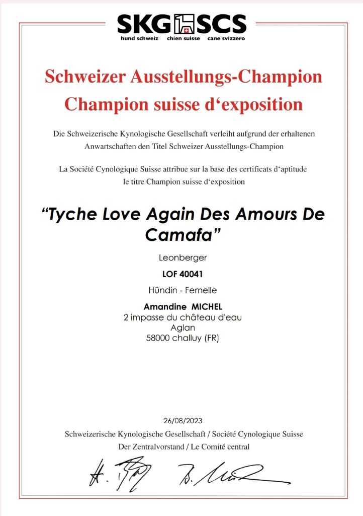 CH. Tyche love again Des Amours De Camafa